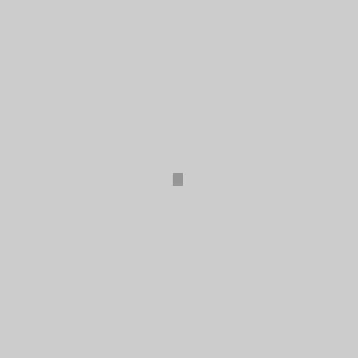 Web Development Project